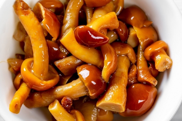 Что приготовить с опятами — вкусные и простые рецепты