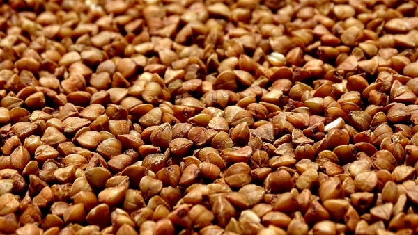 Вкусно и необычно – интересные идеи для блюд из гречки