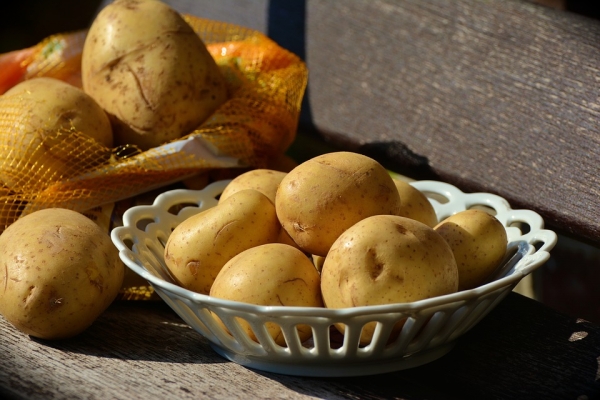 Торт, сырники и печенье из картошки – готовим вкусные и необычные блюда
